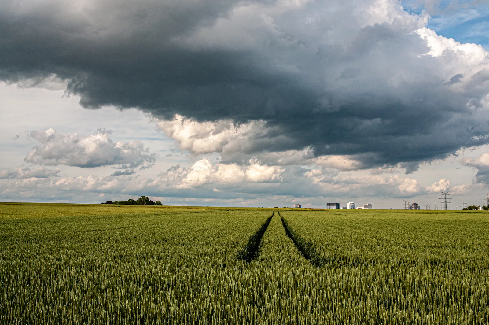 dark clouds over a field
